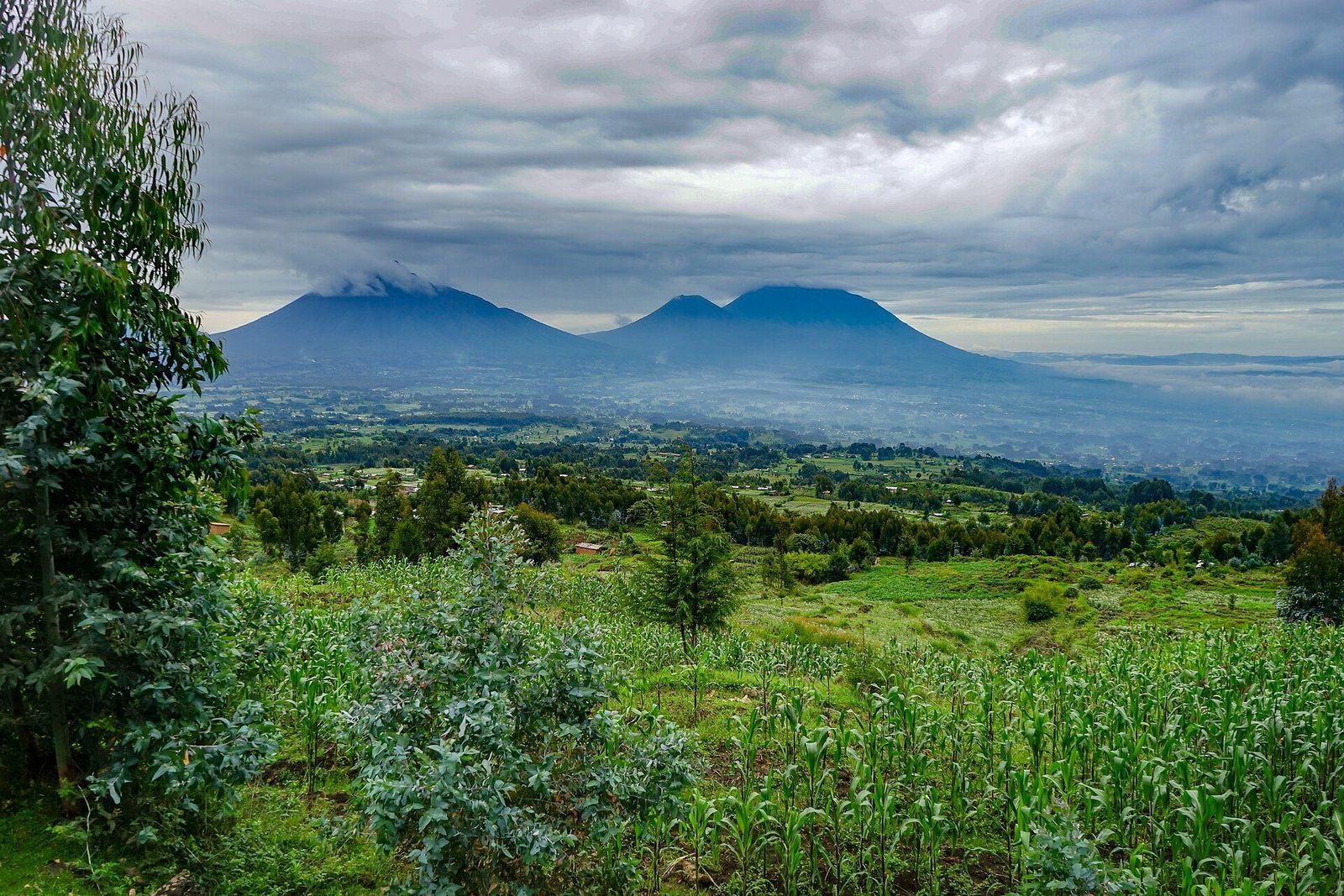 Volcanoes, Rwanda